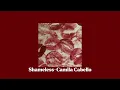 Download Lagu Shameless - Camila Cabello (speed up)