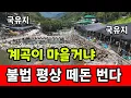 Download Lagu 국유지 계곡에 불법평상 놓고 바가지 장사