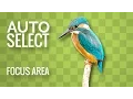 How to Auto-Select Objects or Areas in Focus in an Image in Photoshop CC 2017