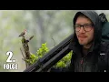Download Lagu Bekassinen im Dauerregen - Vogel-Alpenabenteuer Tag 2