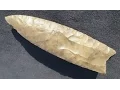 find of a lifetime
