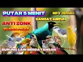 Download Lagu PIKAT BURCIL KOMBINASI SOGON RIBUT SANGAT AMPUH MP3 ANTI ZONK SUARA JERNIH