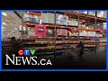 Maxi and Costco to sell hard liquor in Quebec