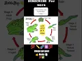 How to draw Life cycle of Frog Diagram drawing step by step science poster tutorial easy