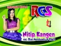 Download Lagu Nitip Kangen - Dangdut Koplo - Dian Marsanda