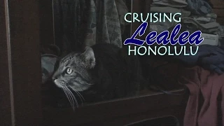 Cruising Lealea in Honolulu: The Ala Wai Part 5