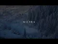 PATAWAD PAALAM - Moira Dela Torre x I Belong To The Zoo (Halfway Point) | Lyric Video
