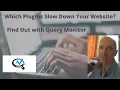 Which Plugins Slow Down Your Website Find Out with Query Monitor