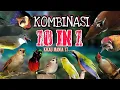 Masteran kombinasi 10 in 1 Full isian Nembak