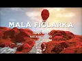 Download Lagu 🎵 MAŁA FIGLARKA  – (Ejaje1976) | Marcin Raczuk Remix 🔥 NOWOŚĆ 2025! Tik Tok