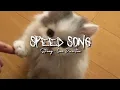 Download Lagu Strong - One Direction (speed song vers)