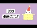 Kitty in the Box Animation CSS Speed Coding CSS Animation