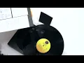 Talking Heads - This Must Be The Place (Naïve Melody) (Vinyl Video)