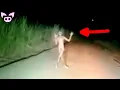 Download Lagu 🔴 LIVE NOW: Chilling GHOST Encounters \u0026 REAL Paranormal Activity Caught on Camera!