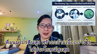 How much protein to build your muscle กินโปรตีนเท่าไหร่จะสร้างกล้ามเนื้อ ไม่มากไม่น้อย สว. ควรทราบ