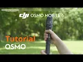 Osmo Mobile 6 Beginners Guide No 4 Gimbal Settings