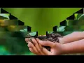 5 June 2022 World Environment Day status 4k Happy paryavaran Diwas WhatsApp status 2022