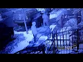 Brazen UPS Package Theif Boro Park Brooklyn