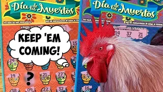 keep em coming 4x d a de los muertos texas lottery scratch off tickets