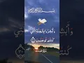 Download Lagu #quran#surah#fussilat#chapter#41#verse#30#explained#in#details#islamic_video#foryou