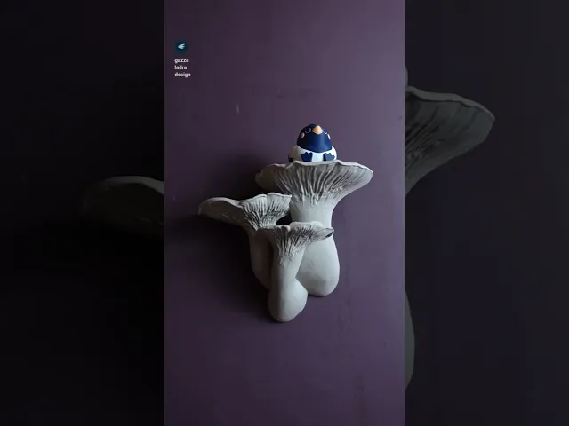 Mushroom shelf “Pleurotus Eryngii" video thumbnail