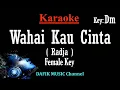 Download Lagu Wahai Kau Cinta (Karaoke) Radja Nada wanita /Cewek/ Female key Dm