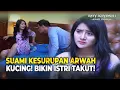 Download Lagu Suami Kesurupan Arwah Kucing, Istri Panik Ketakutan! | Roy Kiyoshi Anak Indigo Eps 61 Full
