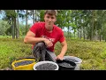 Download Lagu Picking 35 Liters of Wild Blueberries in 6 Hours