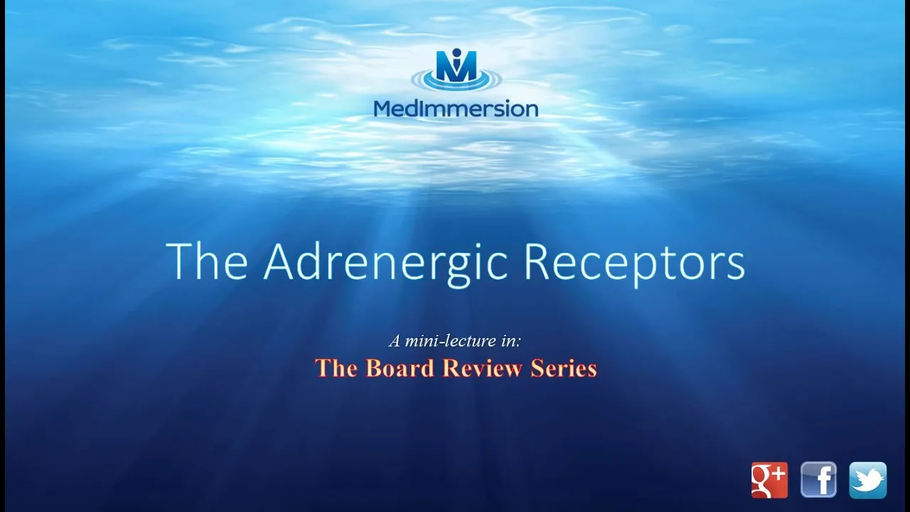 The Adrenergic Receptors