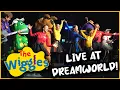Download Lagu The Wiggles - Live Show at Dreamworld - 2024