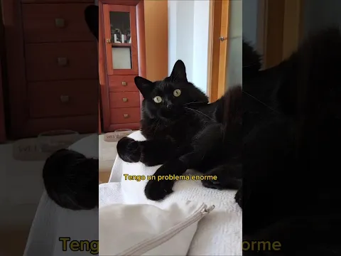 Mis problemas se están acumulando as