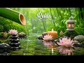 Beautiful Spa Music Relax Your Body Calm Your Mind Restore Inner Peace
