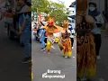 Lagu PERBEDAAN BARONG BANYUWANGI VS BARONG BALI