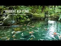 Download Lagu Kolam Ikan Koi | Air Mengalir Tenang \u0026 Suara Alam Sekitar [Santai, Fokus, Meditasi, Tidur]