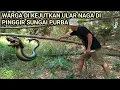 Download Lagu Viral in East Java!! Residents were shocked when a dragon snake emerged from a bamboo forest alon...