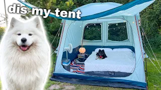 Download Taking My Dogs On A Fun Camping Trip in the Netherlands MP3