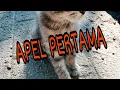 Download Lagu APEL PERTAMA(hari moekti_lirik)