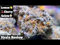 Smoking Lemon Cherry Gelato Strain Review