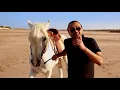 Balti ft. Akram Mag - Regragi Style (Official Music Video)