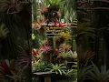 Download Lagu sholawat asyighil🤲
