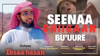 FAANA SEENAA Kut 5ffaa Seenaa Dhiigaan Bu Uure 