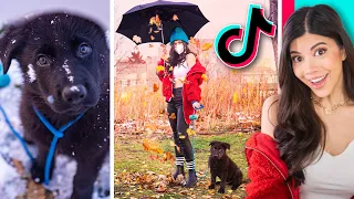 Download I Tried Creative Instagram Photo Ideas From TikTok (ft. Photoshop) MP3