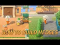 ANIMAL CROSSING NEW HORIZONS - HOW TO BUILD HEDGES