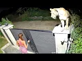 70 Luckiest People Caught on Camera