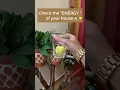 Download Lagu Negative Energy Removal from Home | Negative Energy Removal Mantra #shorts #short #negativeenergy