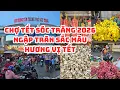 Lagu CHỢ TẾT SÓC TRĂNG 2026: Củ kiệu hành tím TRÀN NGẬP HƯƠNG VỊ TẾT, Giá lạp xưởng, Giòn tan tiếng cười