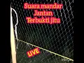 Download Lagu Suara pikat burung mandar batu andalan saya