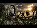 CREDO V DANIELS-SEDILAKA(lyrics) #afropop #africanmusic #sedilaka#samusic 