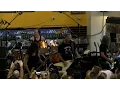 Download Lagu Metallica: Metal Militia (Berkeley, CA - April 16, 2016)