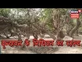 Download Lagu Vrindavan News | बहुचर्चित निधिवन का रहस्य - क्या वहां सच में श्रीकृष्ण करते हैं रासलीला? News18 MP